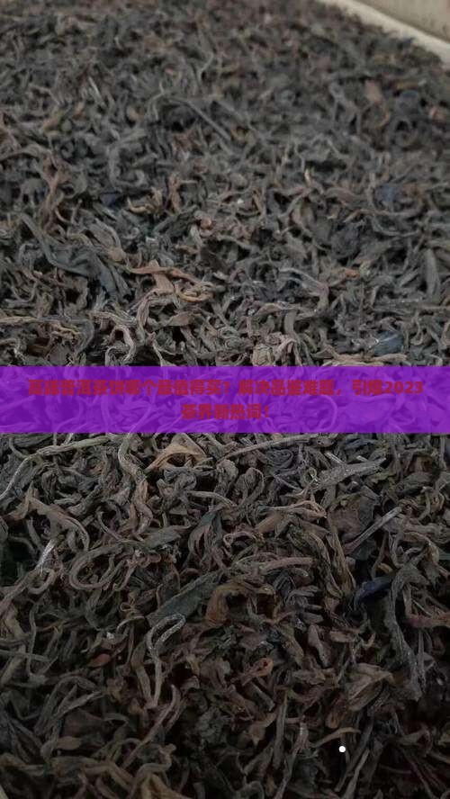 高端普洱茶饼推荐品牌排行
