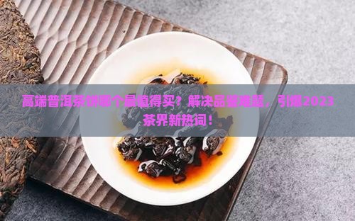 高端普洱茶饼推荐品牌排行