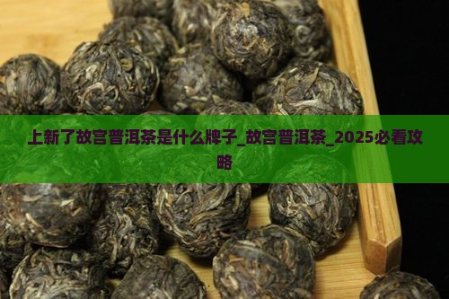 上新了故宫普洱茶是什么牌子