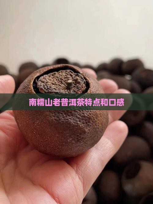 南糯山老普洱茶特点和口感