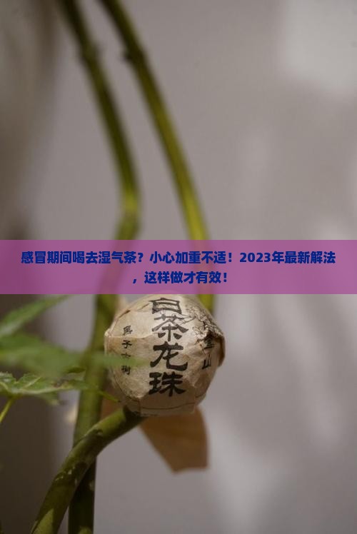 感冒期间可以喝去湿气的茶吗