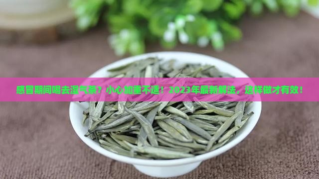 感冒期间可以喝去湿气的茶吗