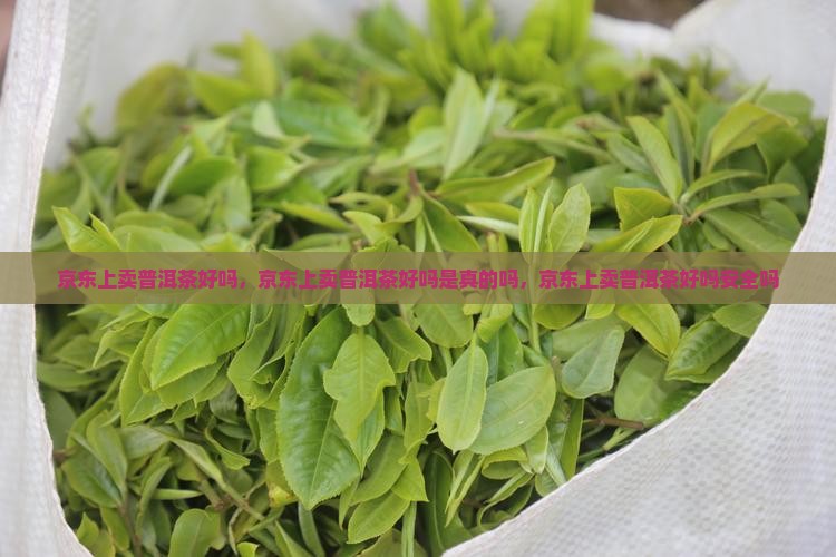京东上卖普洱茶好吗