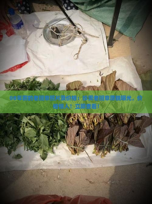 08年前的老班章照片及价格