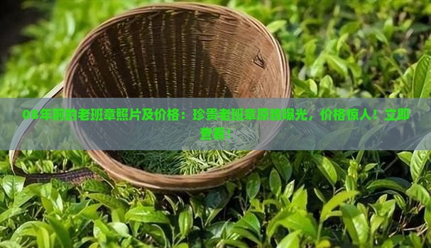 08年前的老班章照片及价格