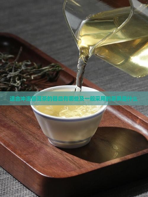 适合冲泡普洱茶的器皿