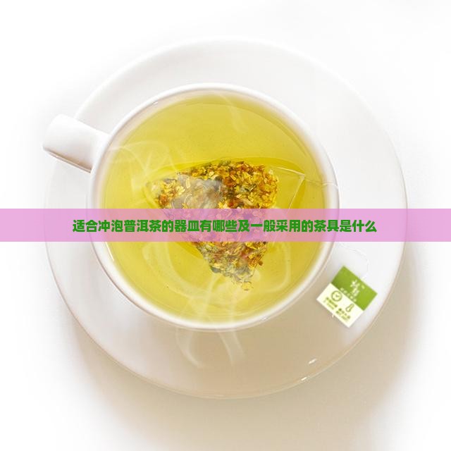 适合冲泡普洱茶的器皿