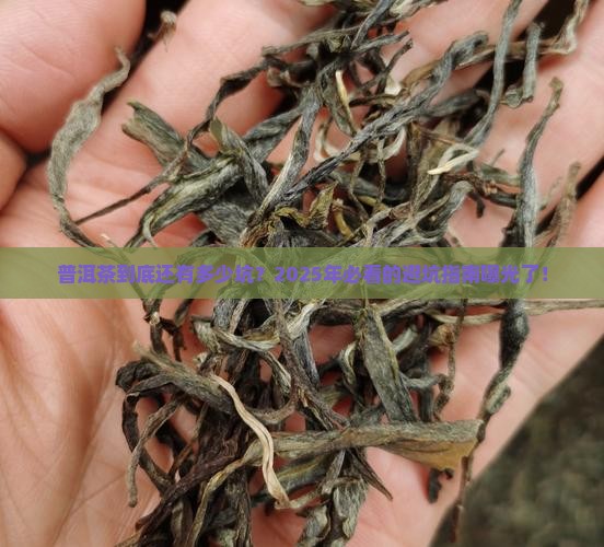 普洱茶乱象新消息