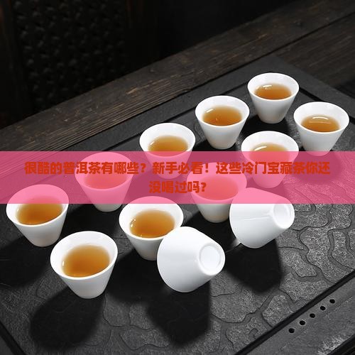 很酷的普洱茶有哪些