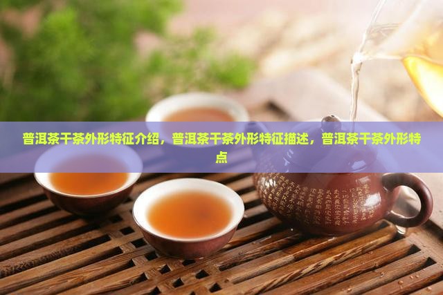 普洱茶干茶外形特征