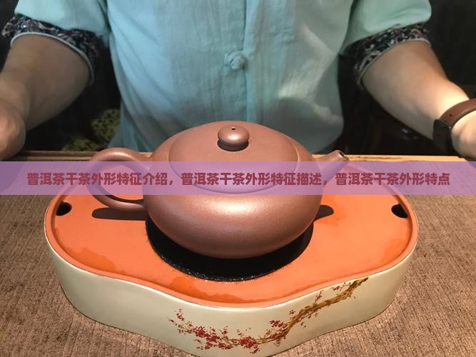 普洱茶干茶外形特征