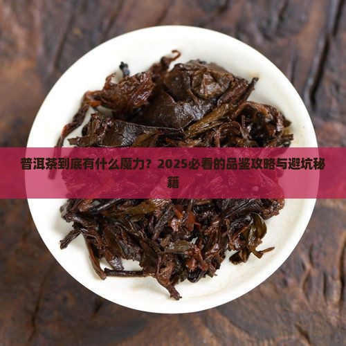 普洱茶介绍板报
