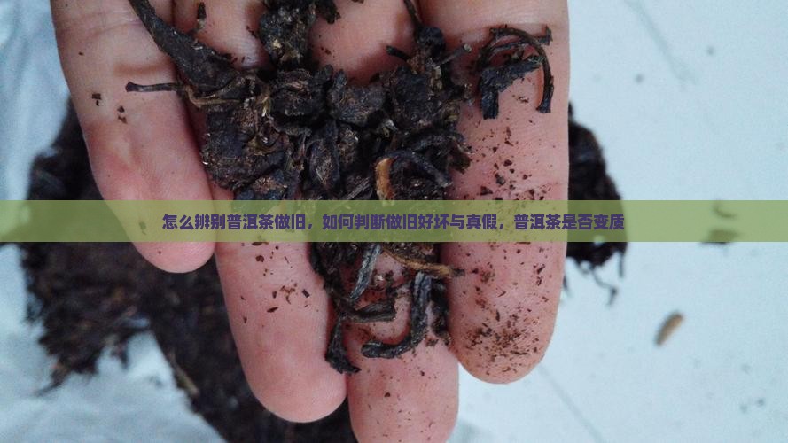 怎么辨别普洱茶做旧