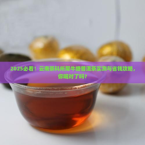 云南茶科所犀牛塘普洱茶
