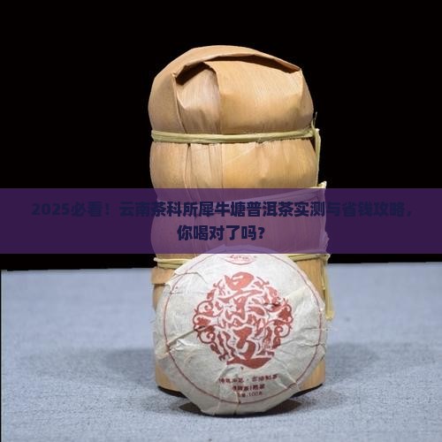 云南茶科所犀牛塘普洱茶