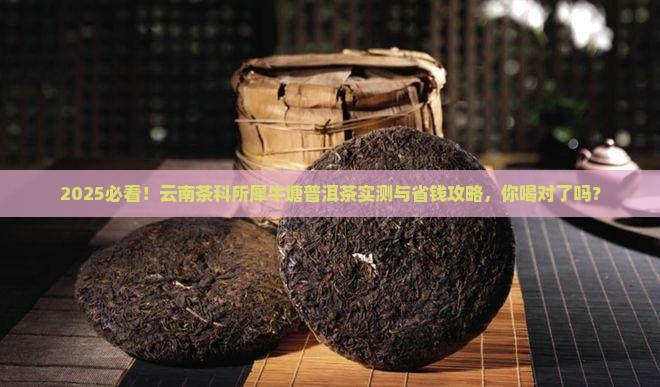 云南茶科所犀牛塘普洱茶