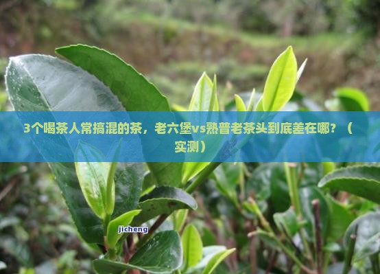 熟普老茶头老六堡有什么区别
