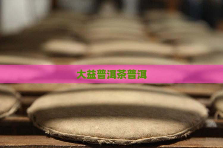 大益普洱茶狗年