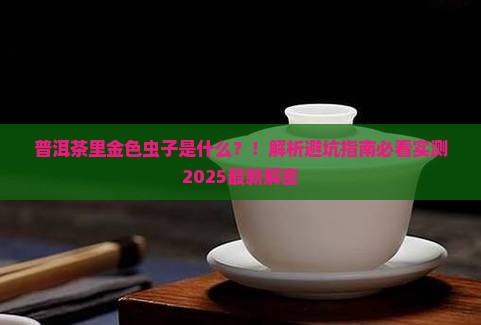 普洱茶里金色虫子是