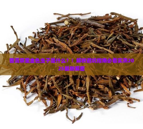 普洱茶里金色虫子是