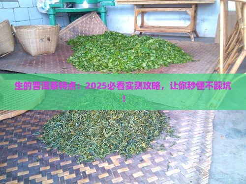 生的普洱茶特点