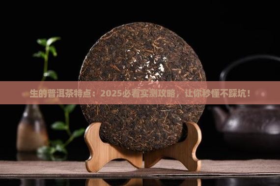 生的普洱茶特点