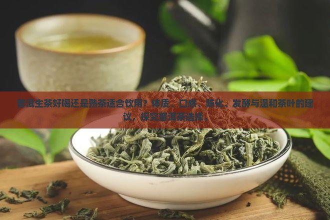 普洱生茶和熟茶好喝