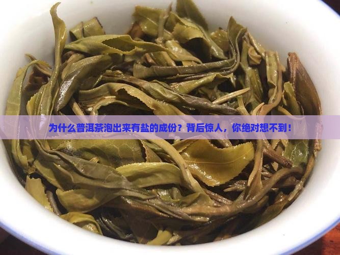 为什么普洱茶泡出来有盐的成份