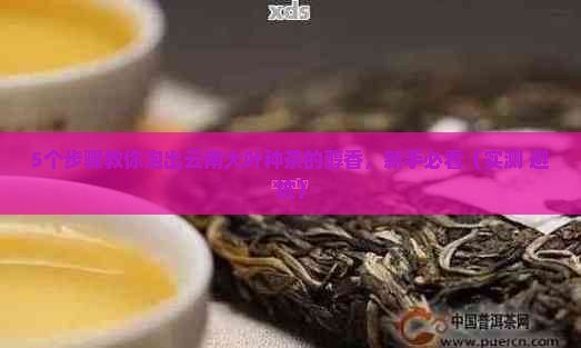云南大叶种茶怎么泡