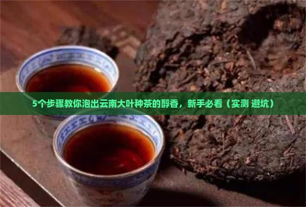 云南大叶种茶怎么泡