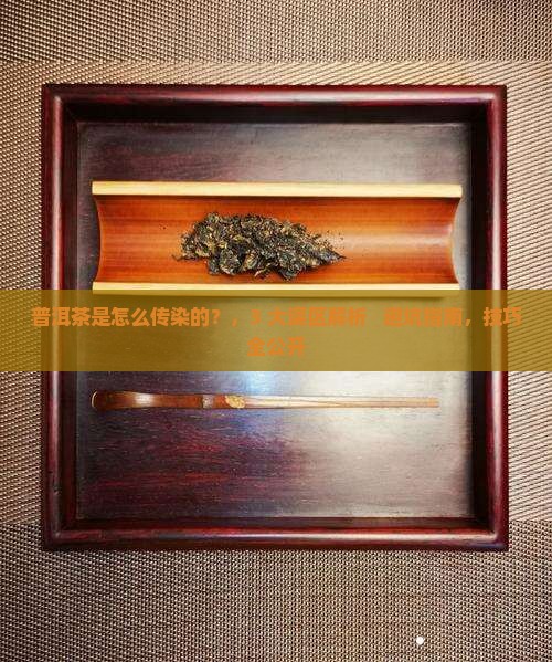 普洱茶是怎么传染的