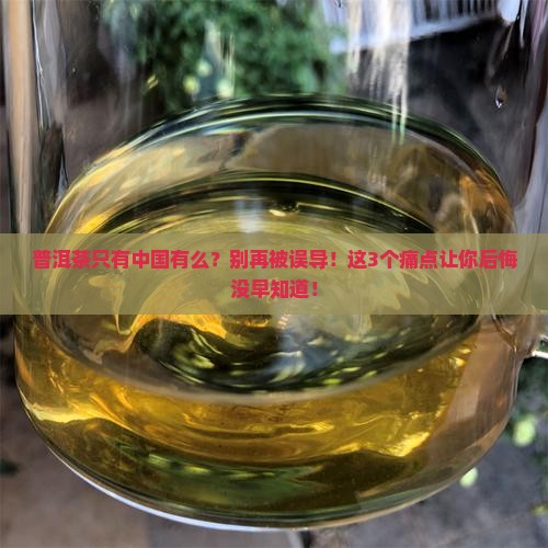 普洱茶只有中国有么