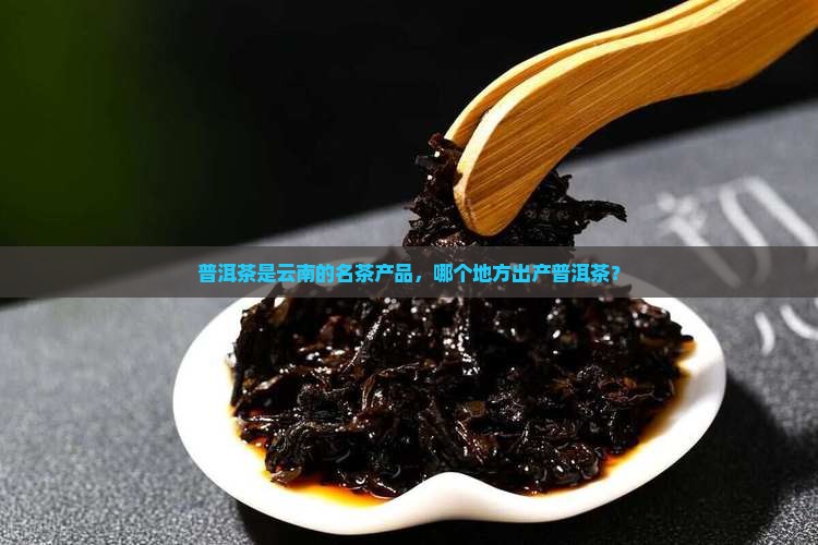 普洱茶是哪个地方的名茶