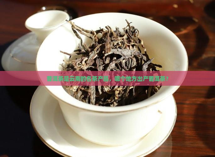 普洱茶是哪个地方的名茶