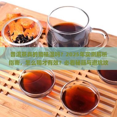 普洱茶是祛湿么吗怎么喝