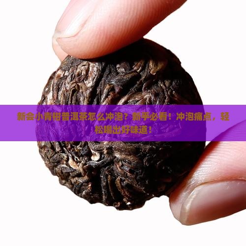 新会小青柑普洱茶冲泡