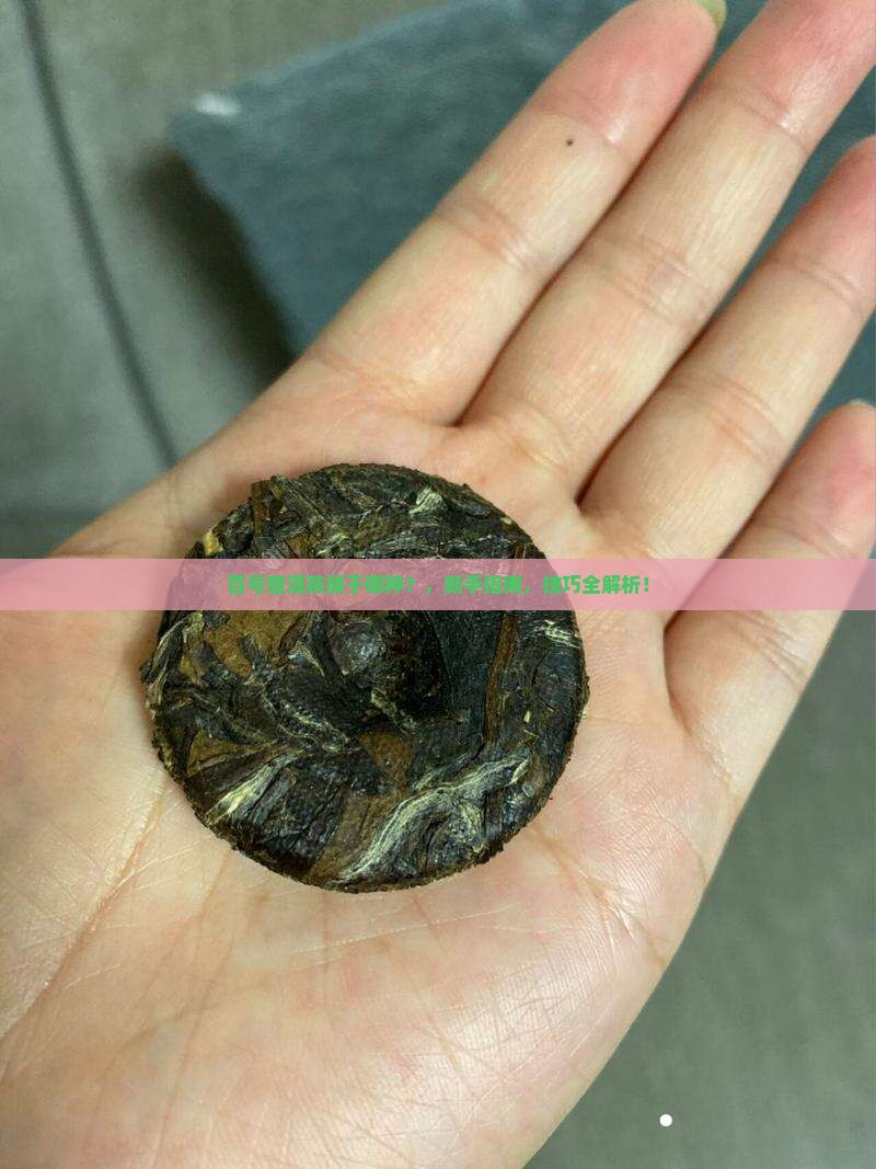 百号普洱茶属于哪种