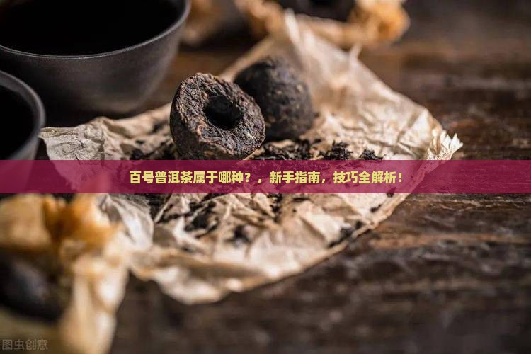 百号普洱茶属于哪种