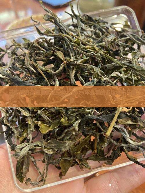 云南普洱茶哪里买正宗的