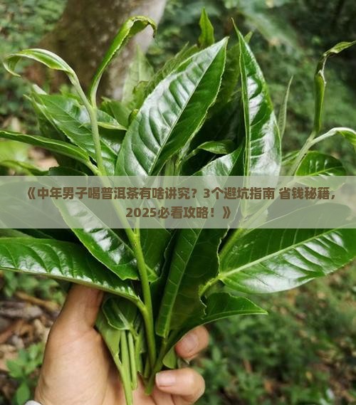喜欢普洱茶的中年男子
