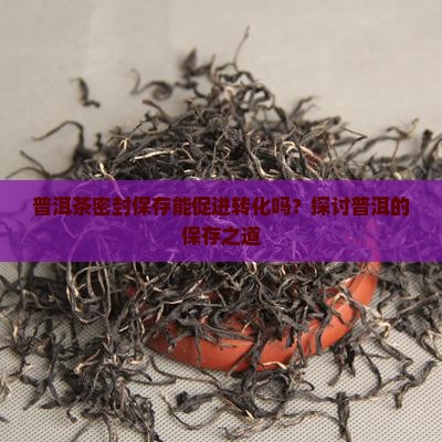 普洱茶密封保存会转化吗