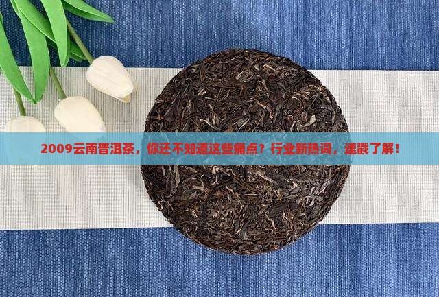 2009云南普洱茶
