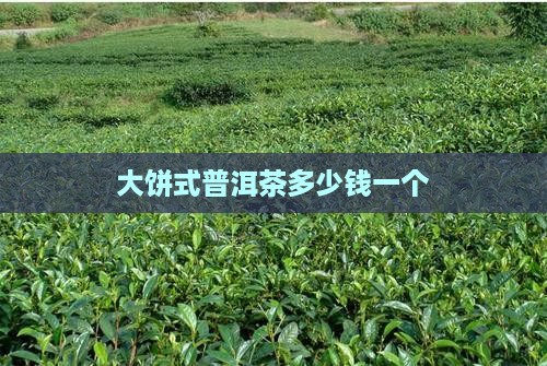 大饼式普洱茶多少钱一个