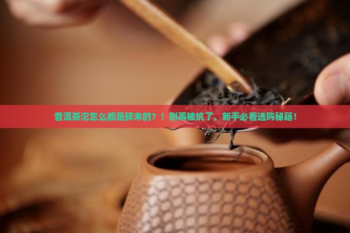 普洱茶沱怎么都是碎末的