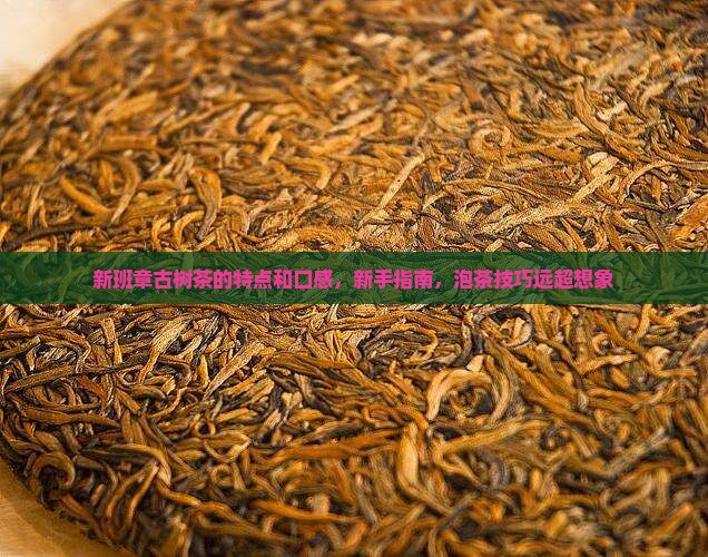 新班章古树茶的特点和口感