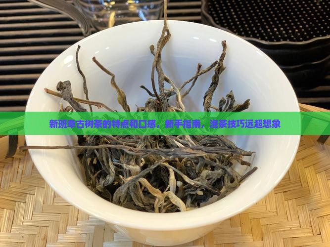 新班章古树茶的特点和口感