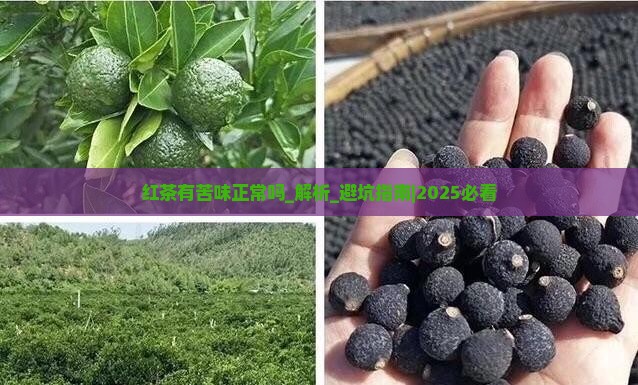 红茶有苦味正常吗