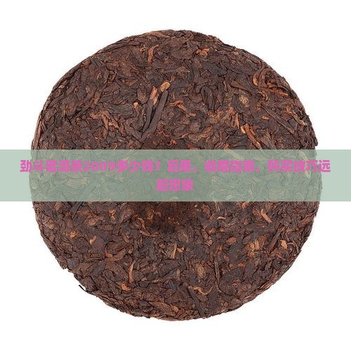 劲斗普洱茶2009多少钱