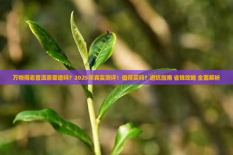 万物得志普洱茶可靠不