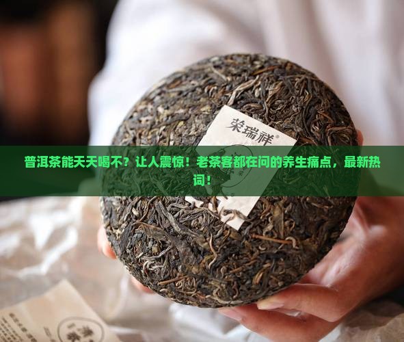 普洱茶能天天喝不